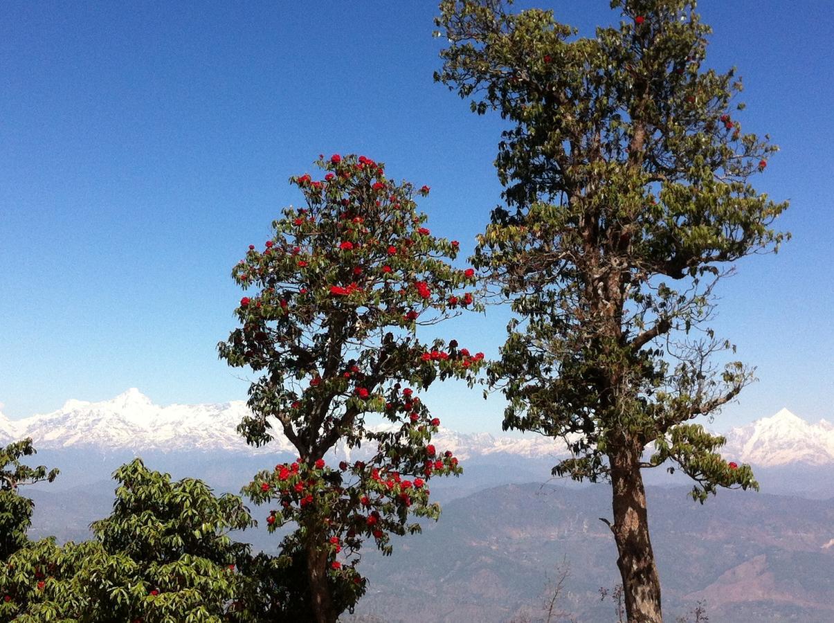 Thikalna Himalayan Retreat Villa อัลโมรา ภายนอก รูปภาพ